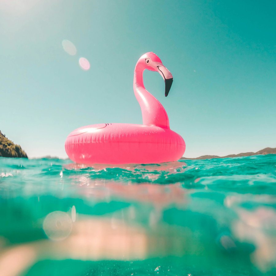 Bouée flamant rose sur l'eau