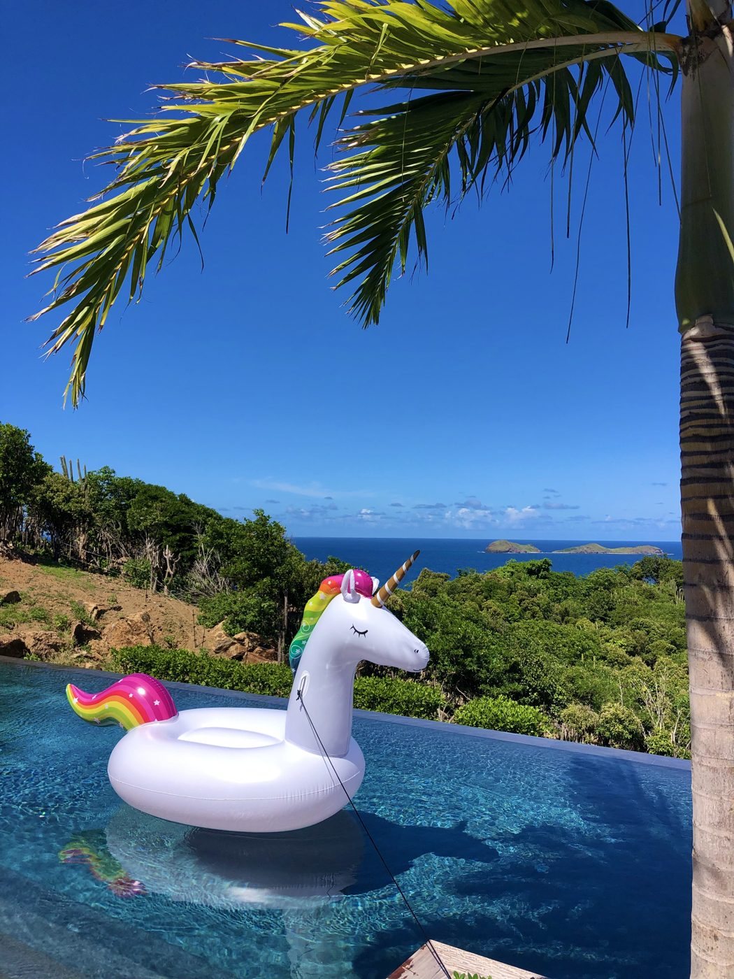 Bouée licorne sur une piscine à débordement